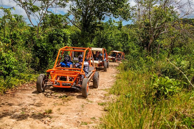 Flintstones Buggy Adventure from Punta Cana - First Stop at a Dominican House and Colmado coffee and cacao