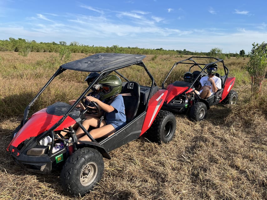 Fort Meade: Bamboo Dune Buggy Tour - Meeting point at Mt Pisgah Rd: find the agritourism gate fast