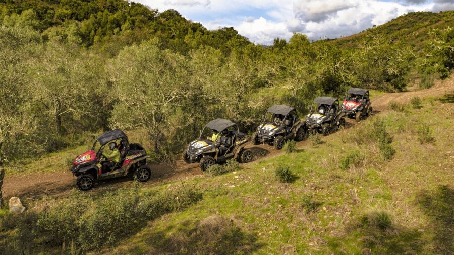 From Albufeira: Half-Day Buggy Adventure Tour - Quinta do goji: the final scenic stop that adds variety