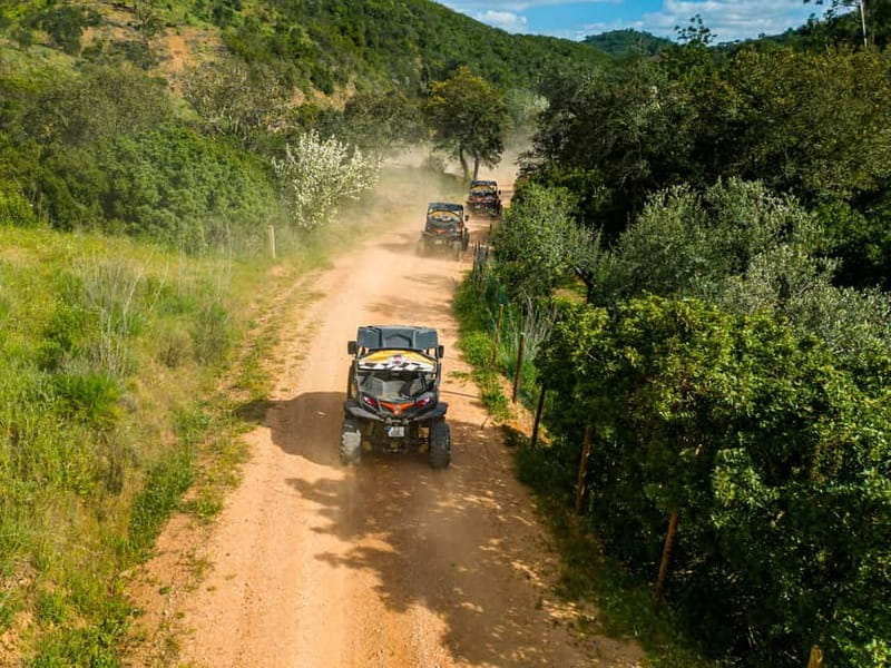 From Albufeira: Half-Day Buggy Adventure Tour - Guide vibe and small-group pacing: why it matters on a buggy tour