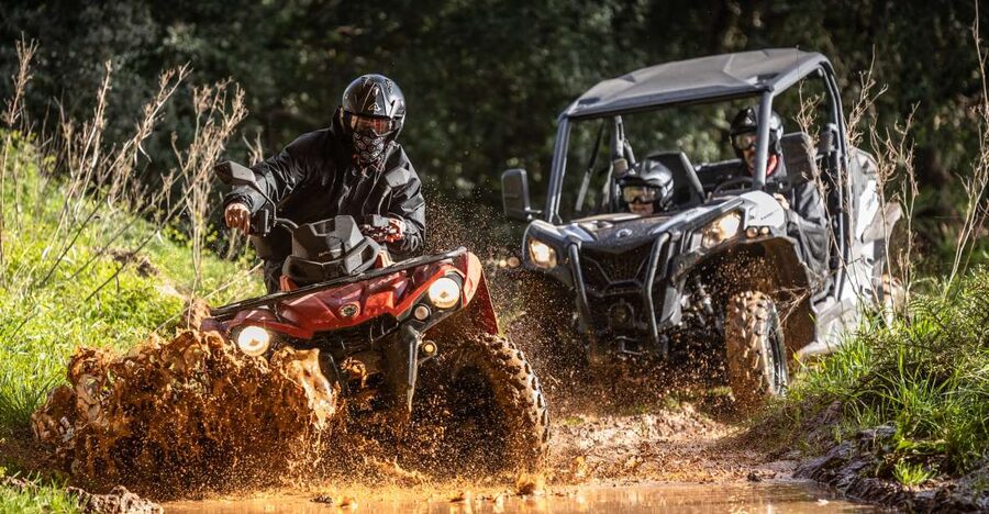 From Almancil: Quad Tour in Algarve Countryside - Almond groves and carob trees: the countryside run that makes it worth it