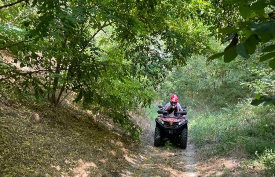 From Bucharest: Forest and Hills ATV Quad Bike Tour - Who Should Book This Quad Ride—and Who Should Skip It