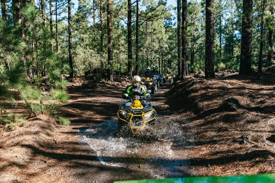 From Costa Adeje: Mount Teide Forest Off-Road Quad Bike Tour - Riding through Teide National Park’s trees instead of the coast