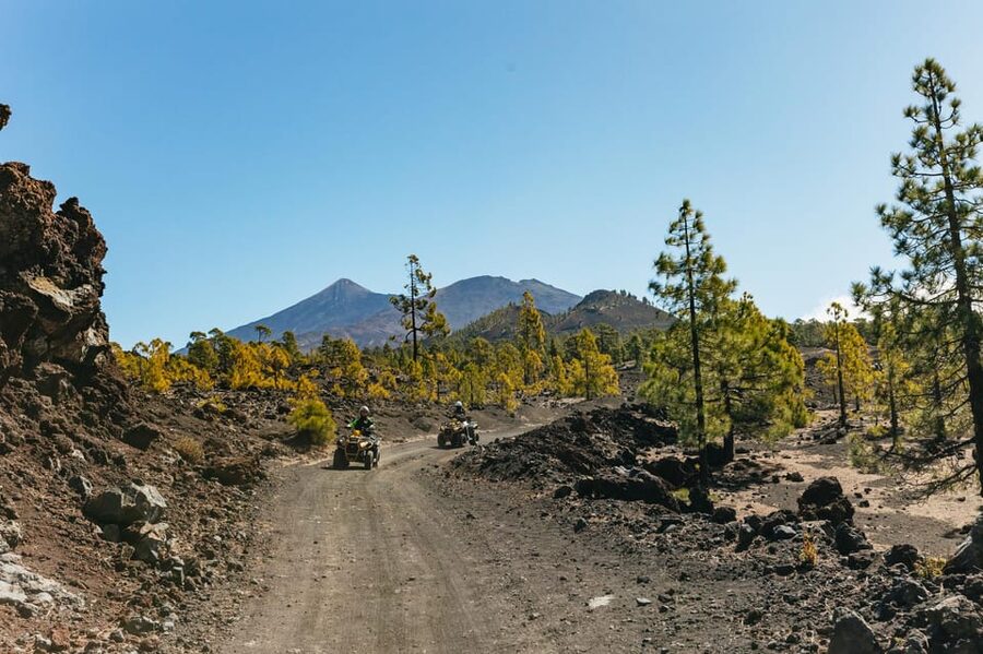 From Costa Adeje: Mount Teide Forest Off-Road Quad Bike Tour - Training and safety on the quad bikes (what you’ll actually do)