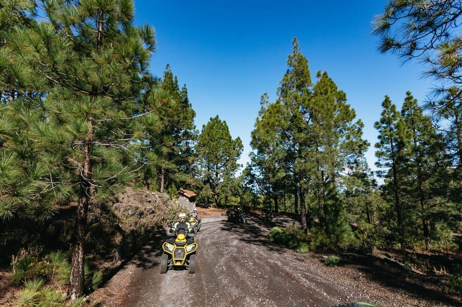 From Costa Adeje: Mount Teide Forest Off-Road Quad Bike Tour - The 3-hour quad ride in Teide forest: what it feels like