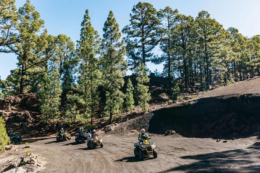 From Costa Adeje: Mount Teide Forest Off-Road Quad Bike Tour - A quick reality check: cold pines, dust, and comfort