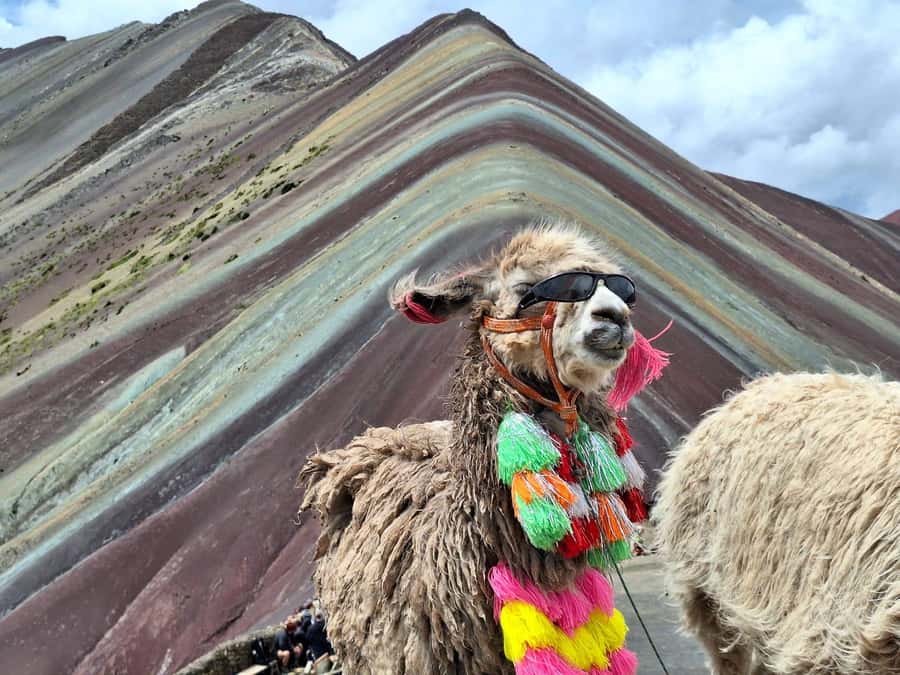 From cusco: Rainbow Mountain ATV Tour with meals - ATV Safety Briefing and Quick Practice: Not Optional