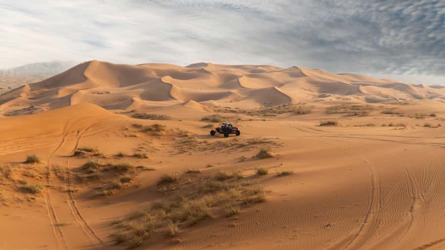 From Dubai: Zerzura Dune Buggy Experience & Fossil Discovery - A Reality Check: What You’re Buying for $136 in Sharjah Desert Time