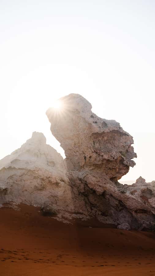 From Dubai: Zerzura Dune Buggy Experience & Fossil Discovery - Who Should Book Zerzura’s Dune Buggy + Fossil Day?