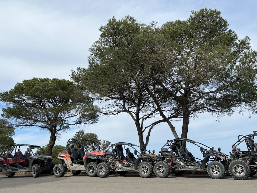 From East Mallorca: Guided Beach and Mountain Buggy Tour - Safety and Rules: What to Expect Before You Start