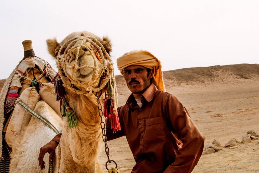 From El Gouna: Dry Canyon Quad Bike Morning Tour - Quad biking in Dry Canyon: what you’re really buying