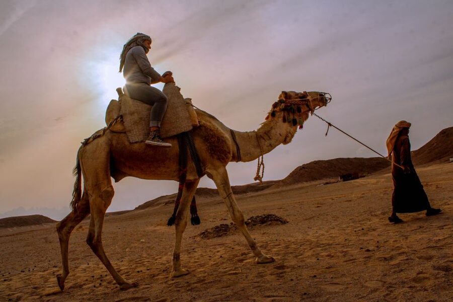 From El Gouna: Dry Canyon Quad Bike Morning Tour - Wadi Billy’s fossils: why the pauses matter