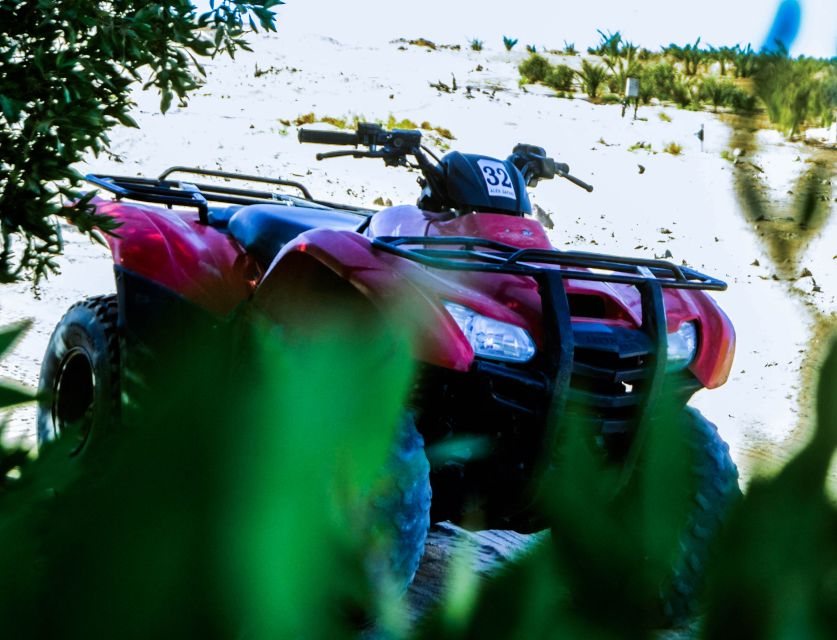 From El Gouna: Dry Canyon Quad Bike Morning Tour - Canyon viewpoints and the 150-meter promise