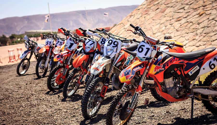 From Hurghada: El Gouna Quad and MX Bike Safari Tour - Who Should Book (and Who Should Skip It)