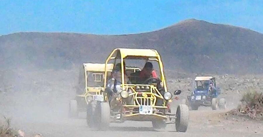From Lanzarote: Corralejo Buggy Safari - Tamaragua to Villaverde: volcanic terrain with farm animals