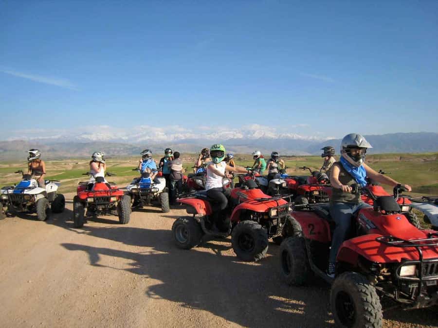 From Marrakech: Adventure Quad Ride in La Palmeraie - The tea break in the Palmeraie: a pause that actually adds meaning