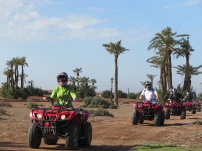 From Marrakech: Adventure Quad Ride in La Palmeraie - Quad biking for two hours: terrain, pace, and how to stay sane in the dust