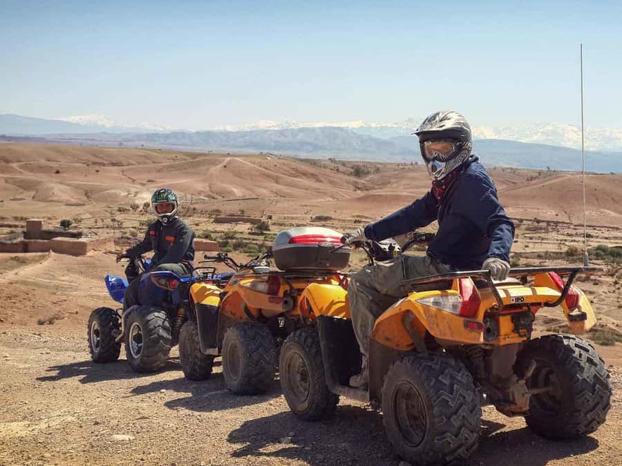 From Marrakech: Adventure Quad Ride in La Palmeraie - Who should book this quad ride, and who should skip it