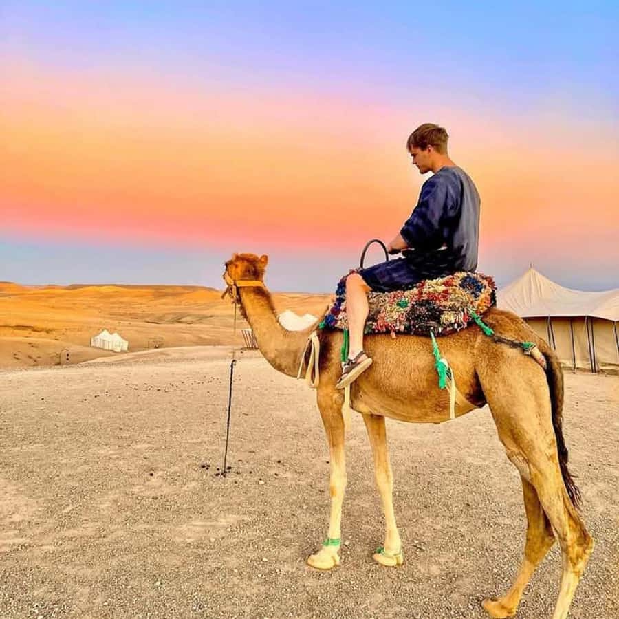 From Marrakech: Agafay Desert Dinner with Quad & Camel Ride - How the Agafay Desert Dinner Runs From Marrakech