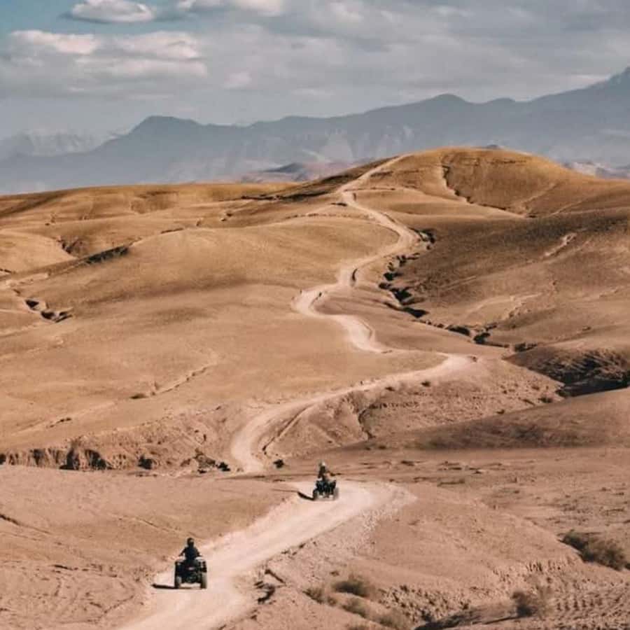 From Marrakech: Agafay Desert Dinner with Quad & Camel Ride - What to Bring (And What Can Trip You Up)
