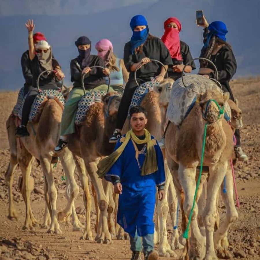 From Marrakech: Agafay Desert Dinner with Quad & Camel Ride - Who This Tour Fits Best (And Who Might Prefer Something Else)