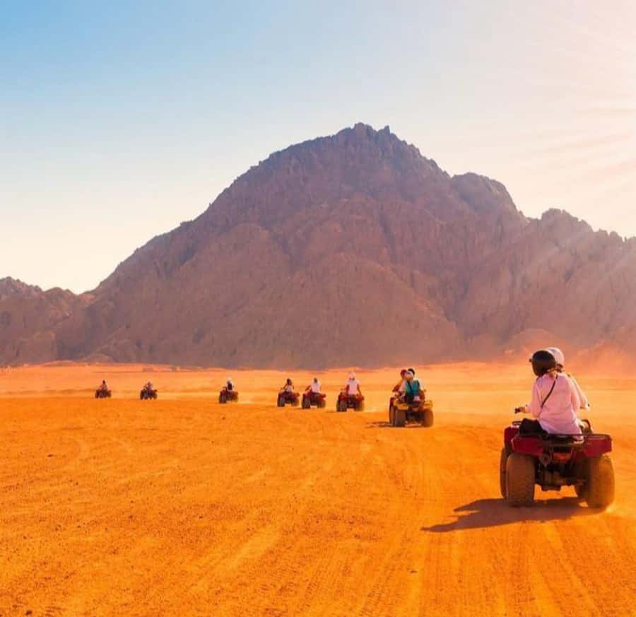 From Marrakech: Agafay Desert Quad Biking with Dinner & Show - Dinner in a Nomadic-Style Tent: Tagine, Olives, Fruit, and More