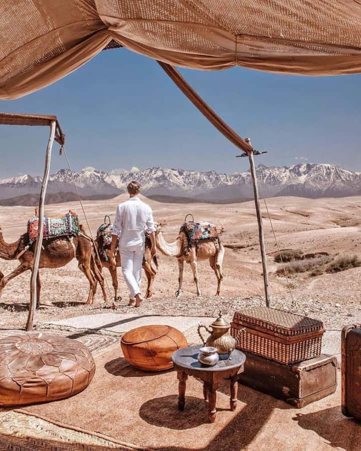 From Marrakech: Camel, Quad Bike Tour, Sunset, Dinner & Show - Quad Biking in Rocky Terrain: 40 Minutes of Fun (and Rules)
