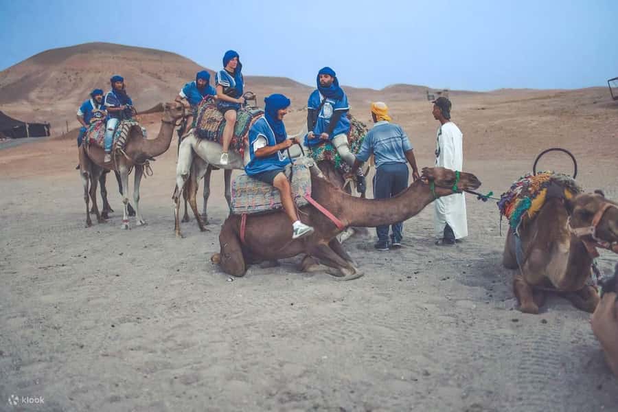 From Marrakech: Camel, Quad Bike Tour, Sunset, Dinner & Show - Getting From Marrakech: Pick-Up That Makes or Breaks the Evening