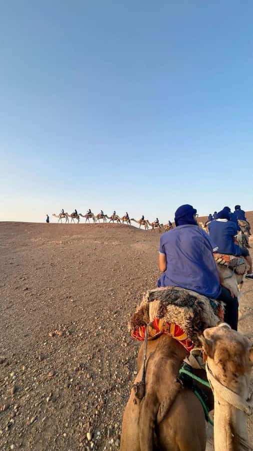 From Marrakech: Camel, Quad Bike Tour, Sunset, Dinner & Show - Safety, Helmets, and Tour Comfort: What’s Included