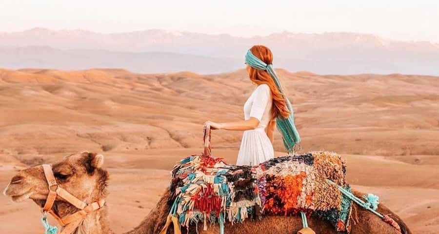 From Marrakech: Camel, Quad Bike Tour, Sunset, Dinner & Show - Price and Value: Is $28 a Good Deal?
