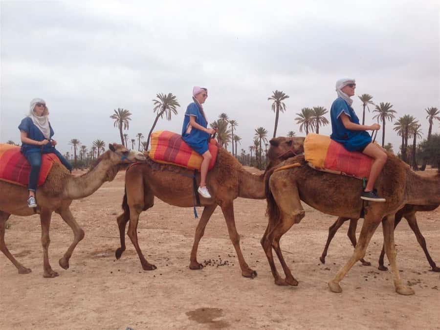 From Marrakech: Camel Ride, Quad Bike & Spa Full-Day Trip - Key Things I’d Bookmark Before You Go