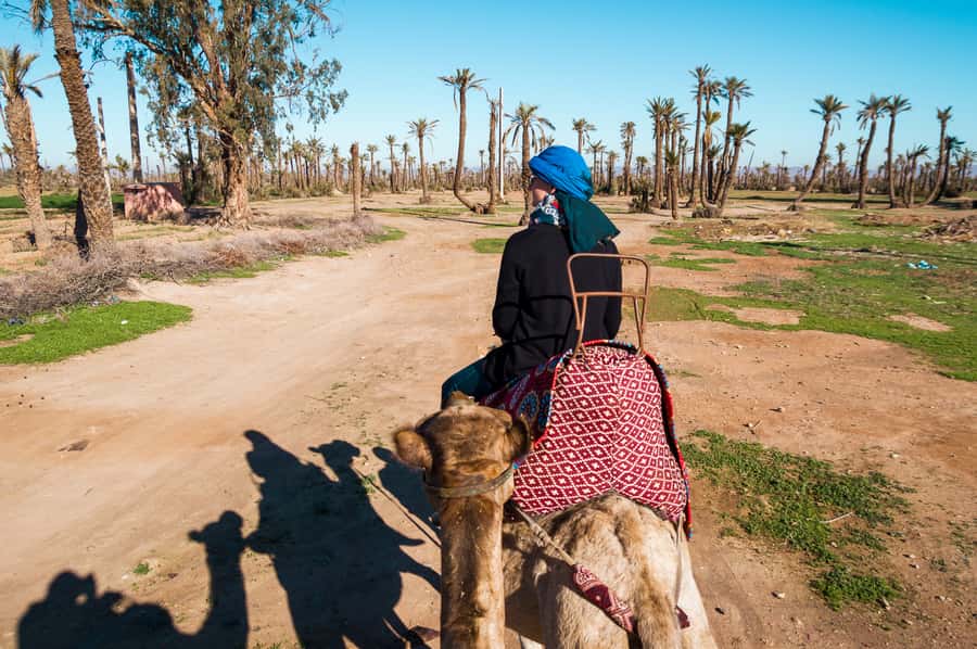 From Marrakech: Camel Ride, Quad Bike & Spa Full-Day Trip - Why This Marrakech Day Trip Works: Three Activities, One Flow