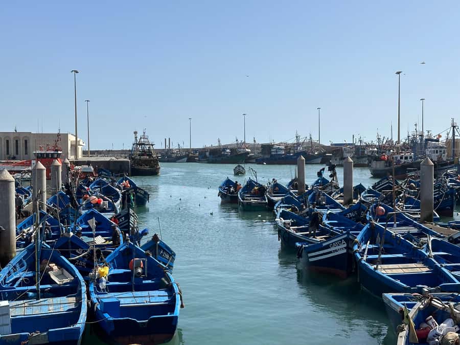 From Marrakech: Essaouira day Trip with camel, horse & quad - Key Things You’ll Notice on This Essaouira Day Trip