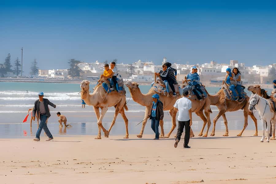 From Marrakech: Essaouira day Trip with camel, horse & quad - Who This Tour Fits Best (And Who Might Want Another Option)