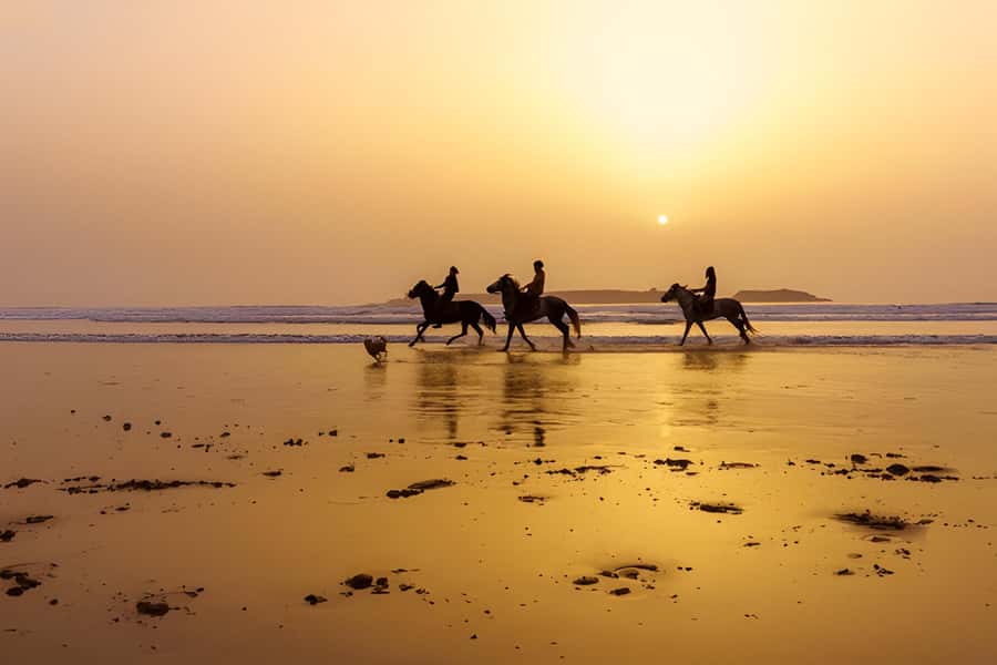 From Marrakech: Essaouira day Trip with camel, horse & quad - Old Medina Time: Workshops, Weavers, Jewelers