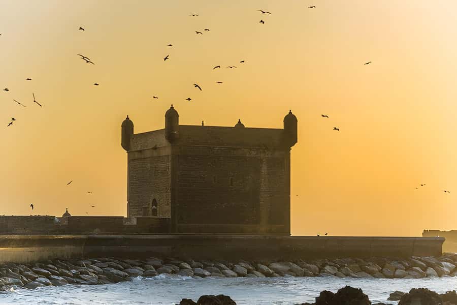 From Marrakech: Essaouira day Trip with camel, horse & quad - Lunch and Spending: Plan for Food Because It’s On You