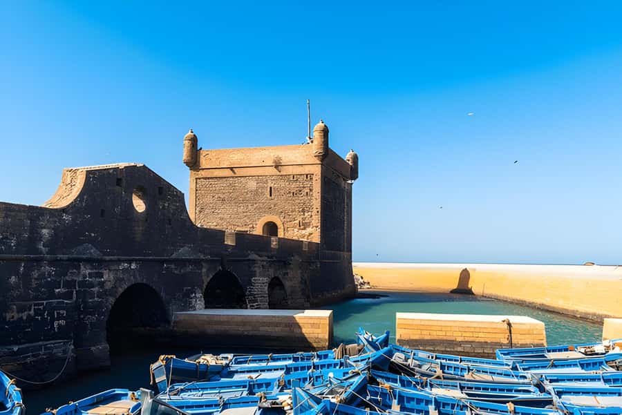 From Marrakech: Essaouira day Trip with camel, horse & quad - The argan oil stop: what you learn, and what to buy