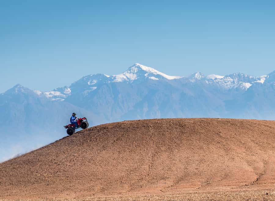 From Marrakech: Full-Day Agafay Desert Quad Adventure - Key Points Before You Go