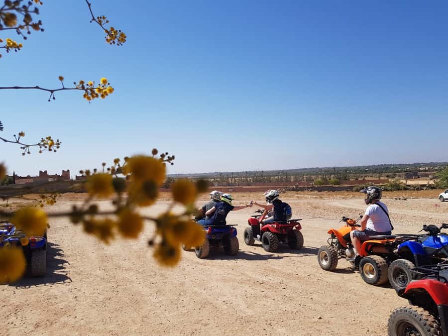 From: Marrakech: Lalla Takerkoust Lake Quad Bike Experience - The Kik Plateau mint tea stop and the artificial lake panorama