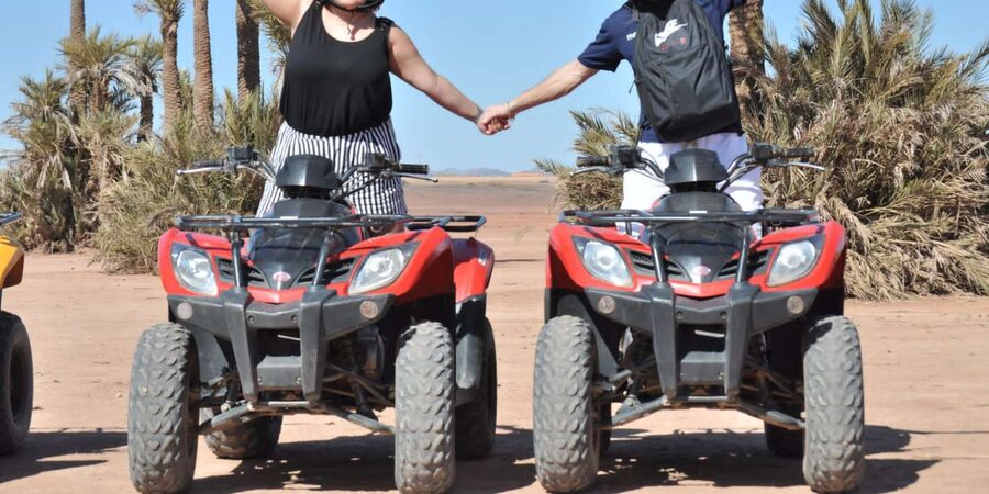 From Marrakech: Palm Grove Quad Bike Tour with Mint Tea - Who this tour fits best (and who should skip it)