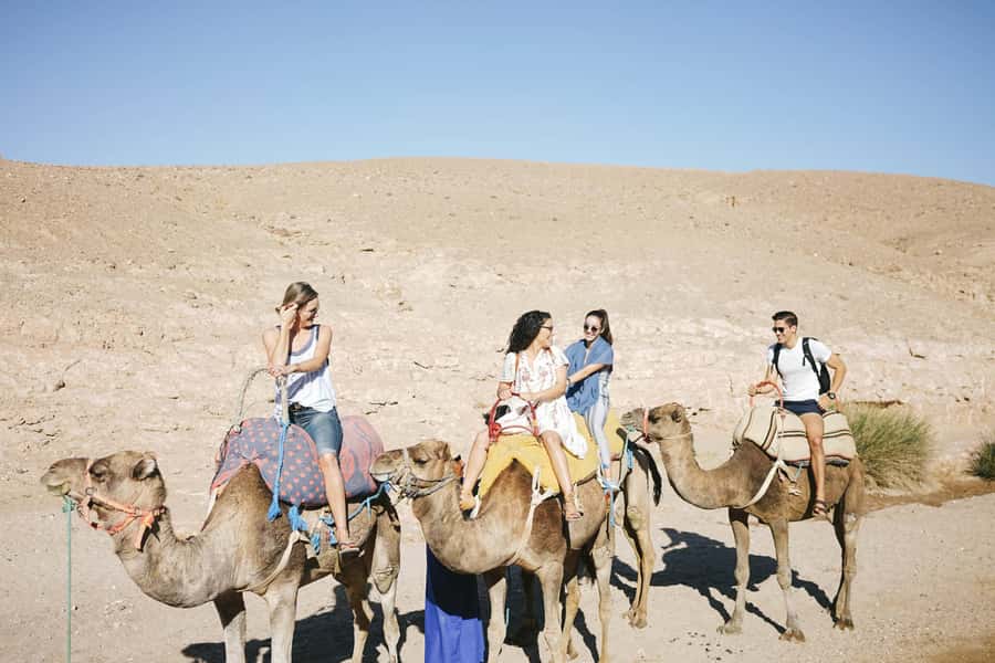 From Marrakesh: Agafay Desert Quad Biking, Camels & Dinner - Sunset at the Berber Camp: Dinner Plus Performance Time
