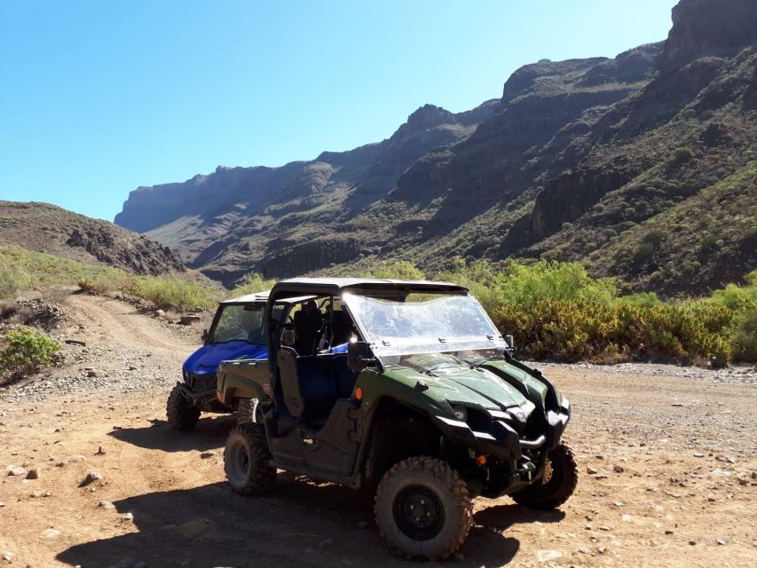 From Maspalomas: Volcanic Landscapes 4-Seater Buggy Tour - Your Buggy Setup: Seats, Safety, and What You’ll Need to Bring