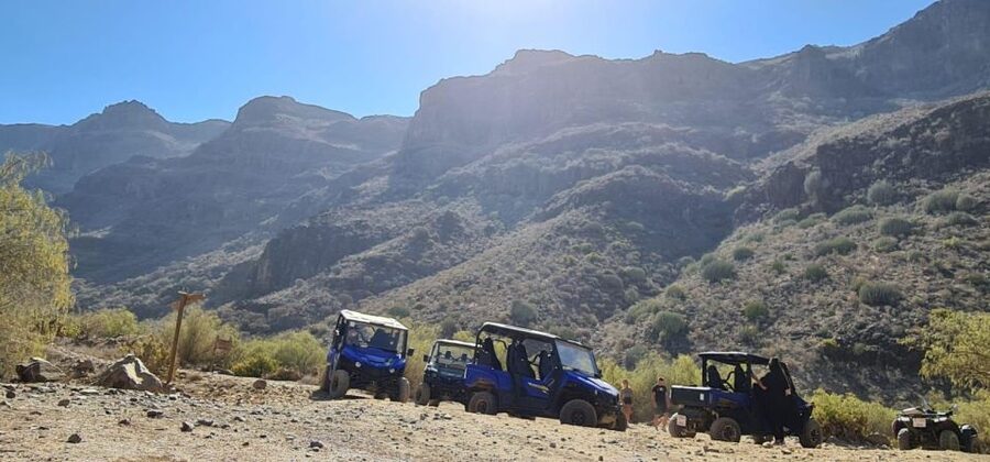 From Maspalomas: Volcanic Landscapes 4-Seater Buggy Tour - Price and Value: Is $177 a Smart Deal for a Buggy Ride?