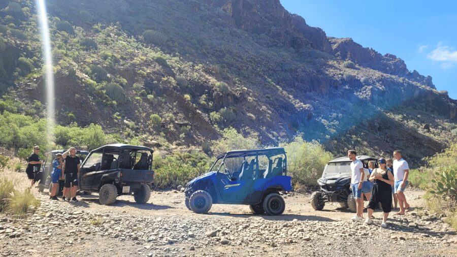 From Maspalomas: Volcanic Landscapes 4-Seater Buggy Tour - Who This Tour Suits Best (and Who Might Prefer Something Else)