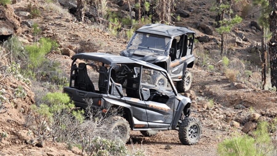 From Maspalomas: Volcanic Landscapes 4-Seater Buggy Tour - Getting There Smoothly: Pickup in Maspalomas and the Van Ride