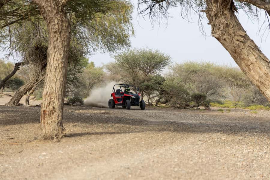 From Muscat: Self-Drive ATV Adventure in Wadi Al Rak - Price and Value From Muscat: Is It Worth $155?