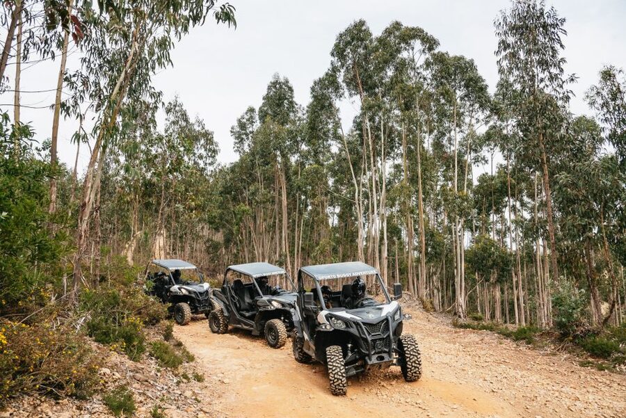 From Porto: Off-Road Buggy Adventure - Safety Rules That Actually Help Your Fun