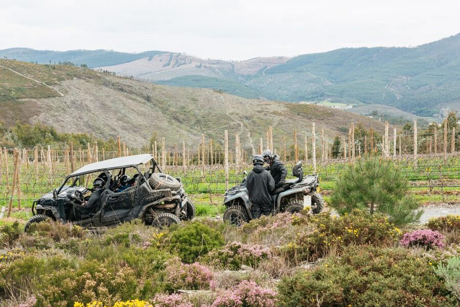 From Porto: Off-Road Buggy Adventure - The 3-Hour Plan: How the Driving Feels and the Pace You Can Expect