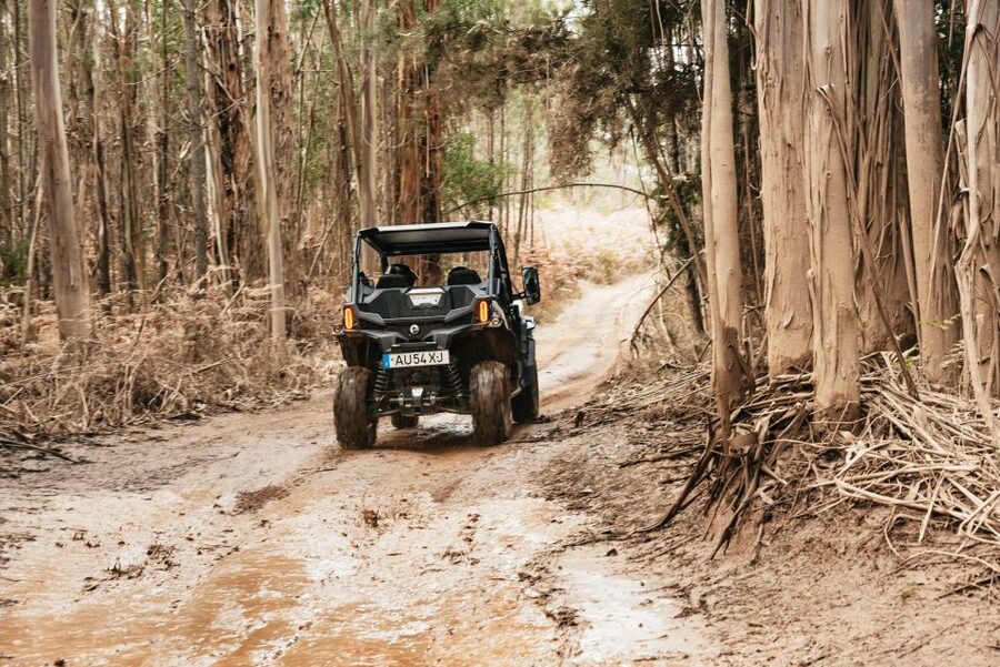 From Porto: Off-Road Buggy Adventure - Stop Two: Castro Mozinho Roman Ruins and the Story They Hint At
