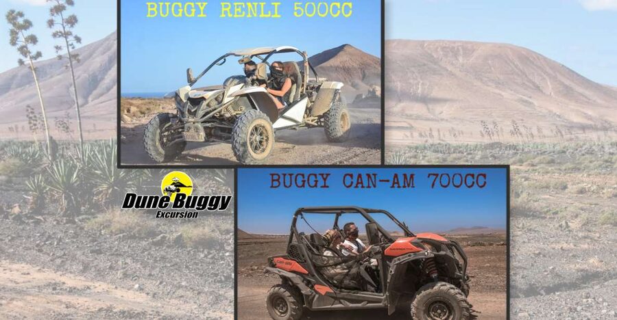 Fuerteventura: Dune Buggy Tour in Northern Fuerteventura - Key things I’d watch for on this Dune Buggy tour
